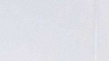 Carne Donald Trump Cargill Tyson cadena de suministro coronavirus covid-19 trabajadores pollo