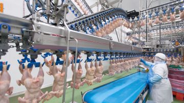 Carne Donald Trump Cargill Tyson cadena de suministro coronavirus covid-19 trabajadores pollo