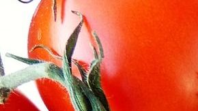 Foto: Silviarita/Pixabay