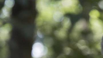 Murió el actor Aarón Hernan a los 89 años de edad