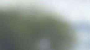 Isaac Cardona en la primera línea contra el coronavirus. (Foto cortesía).