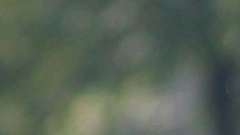 El jugador no ha tenido la actividad esperada.