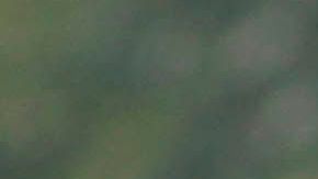 El jugador no ha tenido la actividad esperada.