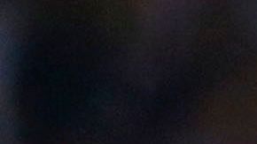 Pizarro no fue convocado por Juan Carlos Osorio a Rusia 2018.