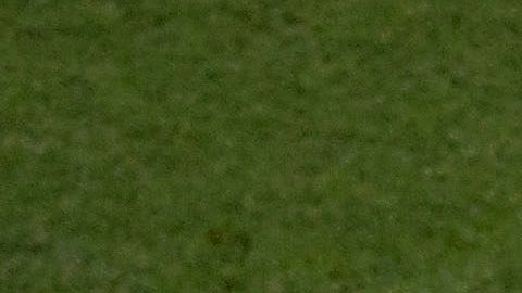 'Chucky' Lozano le dio la victoria a México.