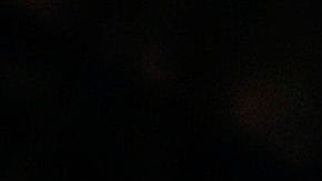 Irina Shayk adora a los animales, pero en particular a los gatos.