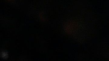 Irina Shayk adora a los animales, pero en particular a los gatos.