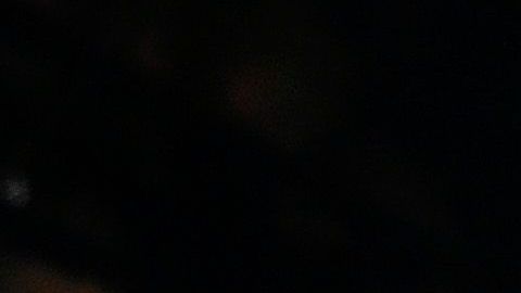 Irina Shayk adora a los animales, pero en particular a los gatos.