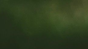 Puedes trabajar en tu jardín durante la cuarentena al lado de toda tu familia.