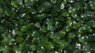 Kris Jenner y Kim Kardashian.