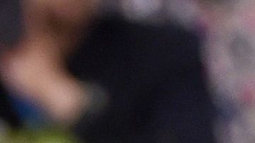 Lady Gaga es admiradora de la raza de perros bulldog inglés