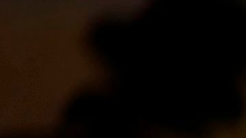 El mismo fabricante del desinfectante Lysol alertó sobre la sugerencia de Trump.