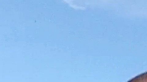 Maluma ama a sus perros con los que pasa la cuarentena en Medellín, Colombia.