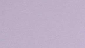 Marco Antonio Regil es amante de los animales.