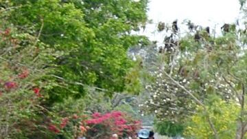 Campamento en Matamores tiene unos Un campamento de 2,500 migrantes.