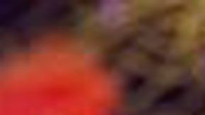 El primer prototipo debería estar listo a finales del próximo año.