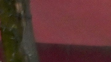 Un estudio adelantado por la Gobernación sugiere que 25% de habitantes de NYC se habría infectado con coronavirus.