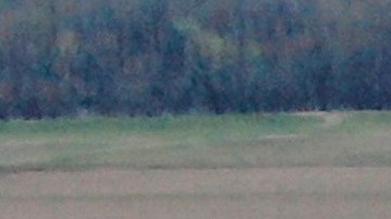 La enfermedad de Covid-19 ha provocado el cierre de una serie de instalaciones de procesamiento de alimentos debido a la cercanía de los trabajadores en la industria de carnes.