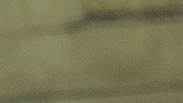 La agresividad en los perros debe evitarse con la educación desde que son cachorros.