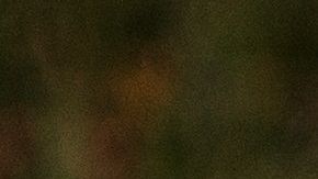 Perro se puso celoso de cachorro en Tik Tok.