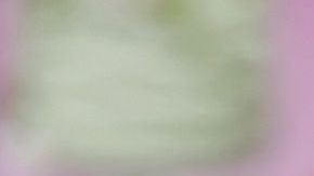 Se da a conocer en Estados Unidos el primer caso de un perro en dar positivo por SARS-CoV-2 que es causante del coronavirus en personas.