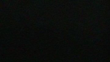 Los perros serían capaces de detectar el coronavirus por el olfato.