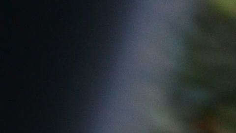 Los perros suelen acostumbrarse a andar en auto si desde pequeños lo hacen.