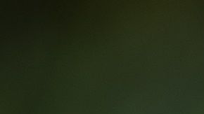 Un perro quedó impactado al enterarse que será papá.