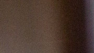 Foto: naniwa23/Pixabay. Los caninos suelen rascarse por estrés o ansiedad.