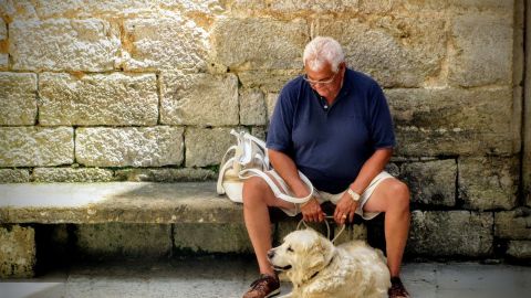 Los perros son una excelente compañía para los ancianos por múltiples razones.