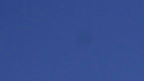 Los perros tienen un olfato tan poderoso que son capaces de detectar el coronavirus.