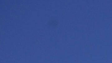 Los perros tienen un olfato tan poderoso que son capaces de detectar el coronavirus.