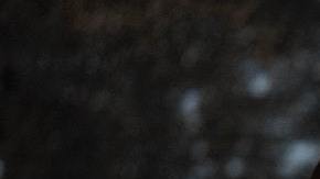 Los granos integrales son ricos en fibra, proporcionan vitaminas B, hierro, cobre, zinc, magnesio, antioxidantes y fitoquímicos.