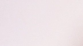 Dogtor Loki es un perro que reparte kits de ayuda en un hospital.