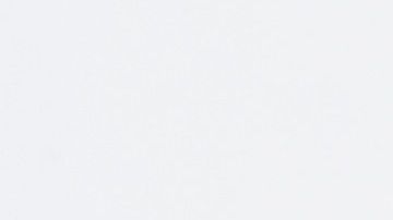 Selena Gomez acaba de adoptar un perrito sin hogar en medio de la cuarentena.