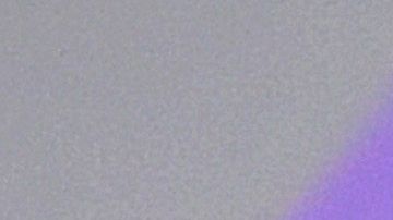 Taylor Swift pasa la cuarentena acompañada de su trío de gatos.