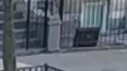 Los hechos fueron recientemente revelados por el NYPD.