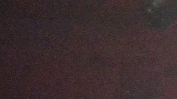 WrestleMania 36 fue un evento grabado y se llevó a cabo a puerta cerrada.