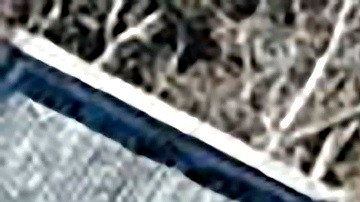 Hart Island entierros