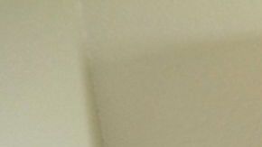 Los anfitriones deben garantizar la limpieza de sus propiedades y prevención del COVID-19