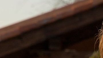 Altair Jarabo ha participado en telenovelas como "Al diablo con los guapos" y "Abismo de pasión"