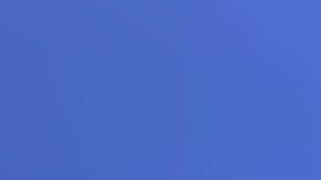 Andrea Camps era una joven estudiante de Miami.