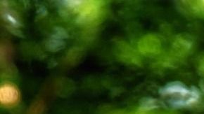 Los arcángeles son mensajeros de Dios.