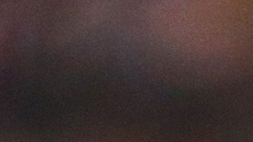 antonio briseño baile