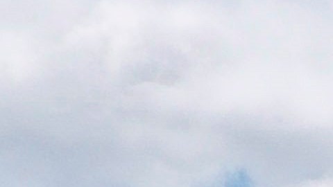 Central Park, ícono de NYC.