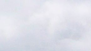 Central Park, ícono de NYC.