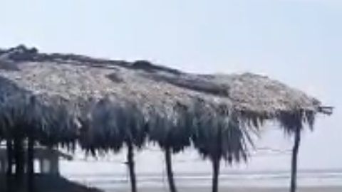 Se desconocen las causas de la muerte de la ballena.