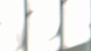 Si buscas una casa, pero no sabes si comprar o rentar, debes revisar tu vida.