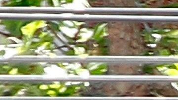 Existen diferentes prendas con descuentos que vale la pena comprar