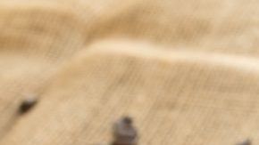 La cafeína y los polifenoles del café tienen efectos en tu cuerpo.